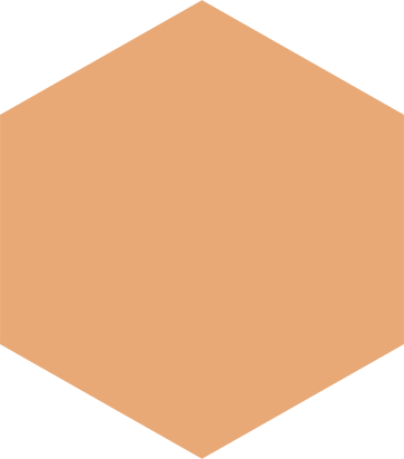 Hexagone orange - Ressource Livre YA+K