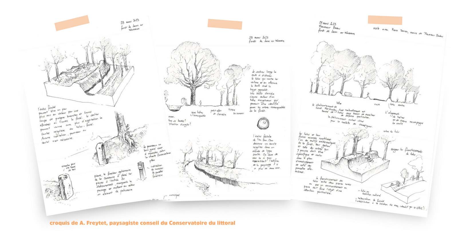 article concertation facilitation ONF croquis paysagiste dialogue forêt