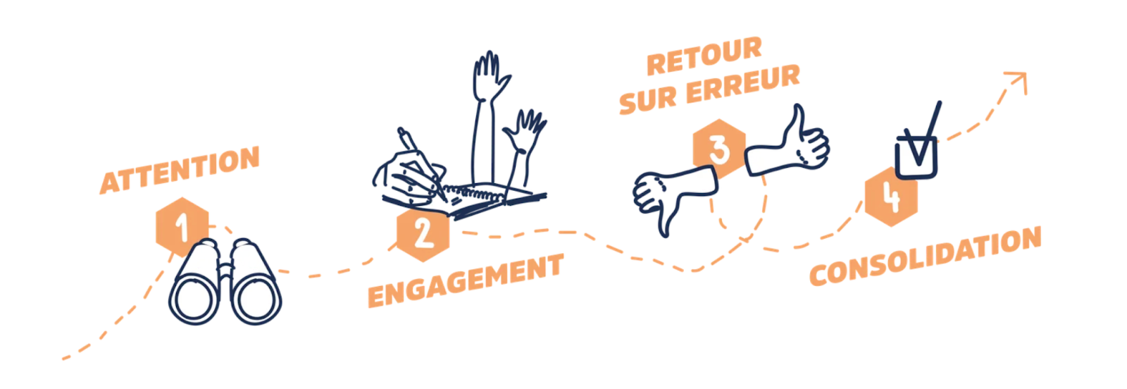 1. Attention
2. Engagement
3. Retour sur erreur
4. Consolidation