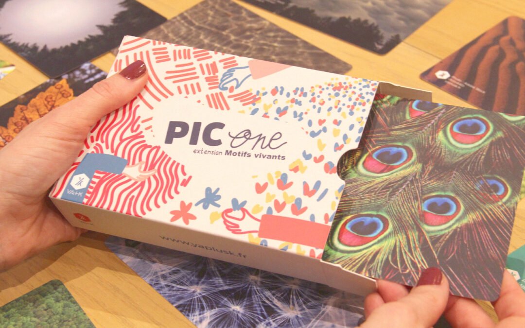 YA+K formation facilitation créations cartes photolangage